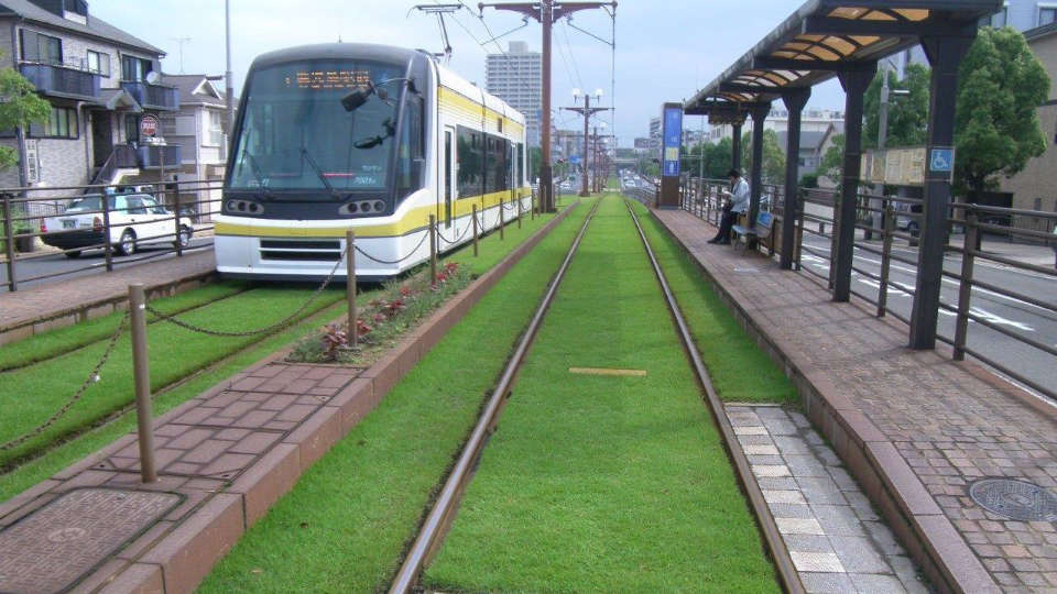 鹿児島市電の軌道敷芝生緑化施工写真